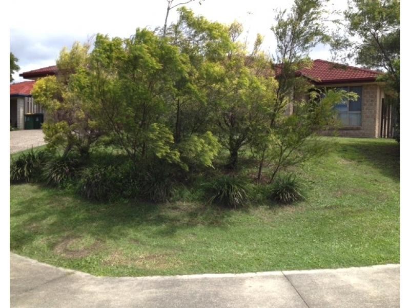 16 Diploma Road, Upper Coomera QLD 4209