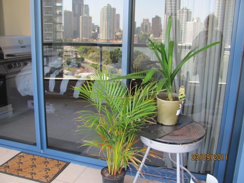 321 Main street, Kangaroo Point QLD 4169