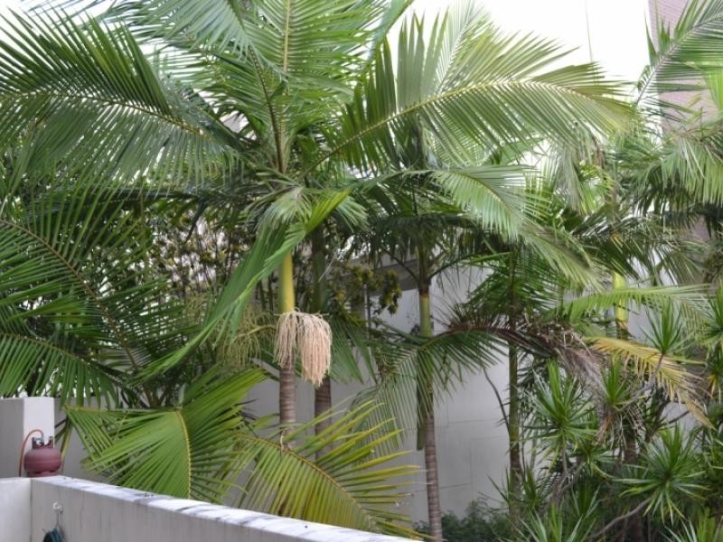 8-12 macquarie street, Teneriffe QLD 4005