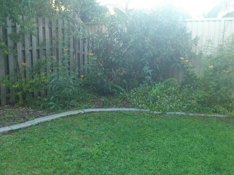 6 Buddy Holly Close, Parkwood QLD 4214