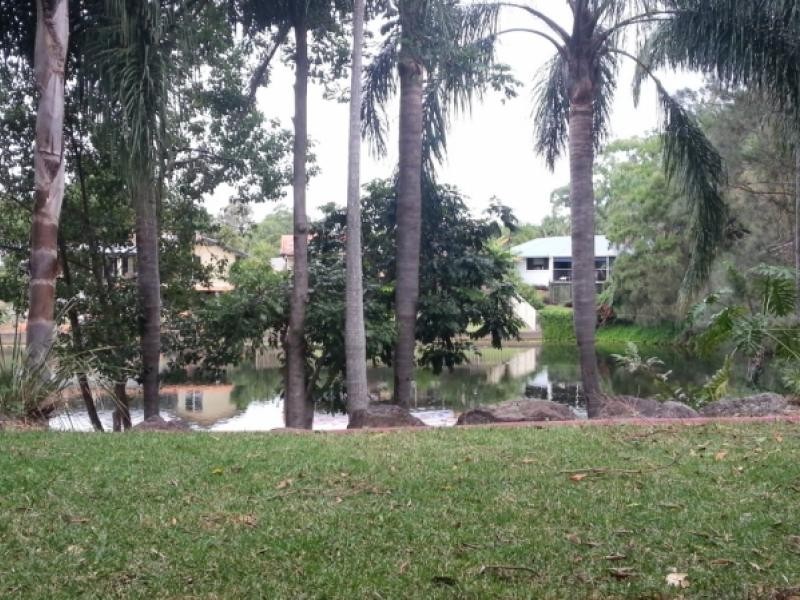 1 Resort Drive, Robina QLD 4226