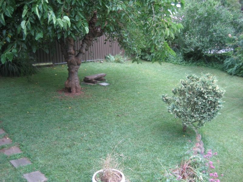 53 Hall St, Tamworth NSW 2340