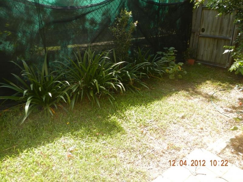 28 Ancona St, Carrara QLD 4211
