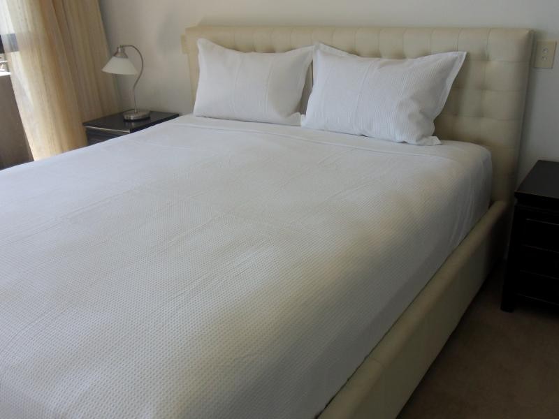 323 Bayview Street, Hollywell QLD 4216