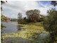 9 Santa Cruz Blvd, Clear Island Waters QLD 4226