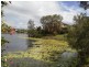 9 Santa Cruz Blvd, Clear Island Waters QLD 4226