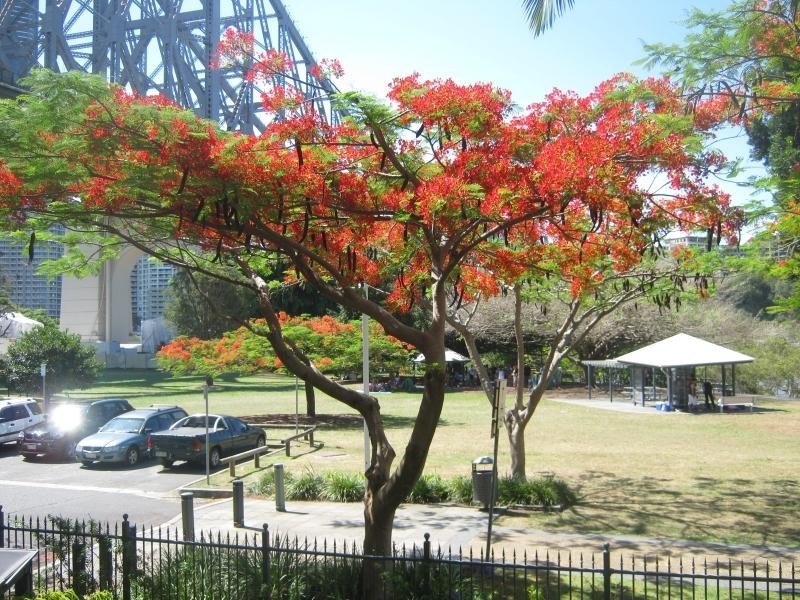 1 Holman Street, Kangaroo Point QLD 4169