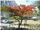 1 Holman Street, Kangaroo Point QLD 4169