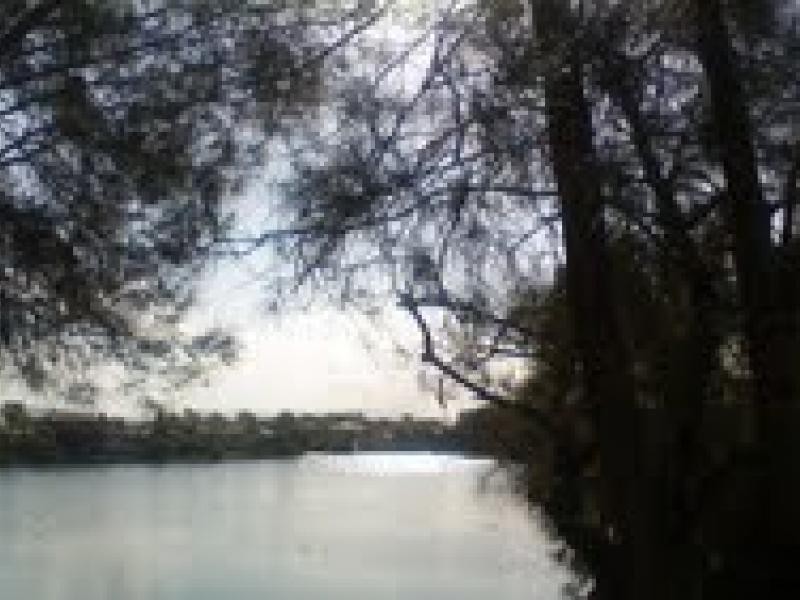 9 Santa Cruz Blvd, Clear Island Waters QLD 4226