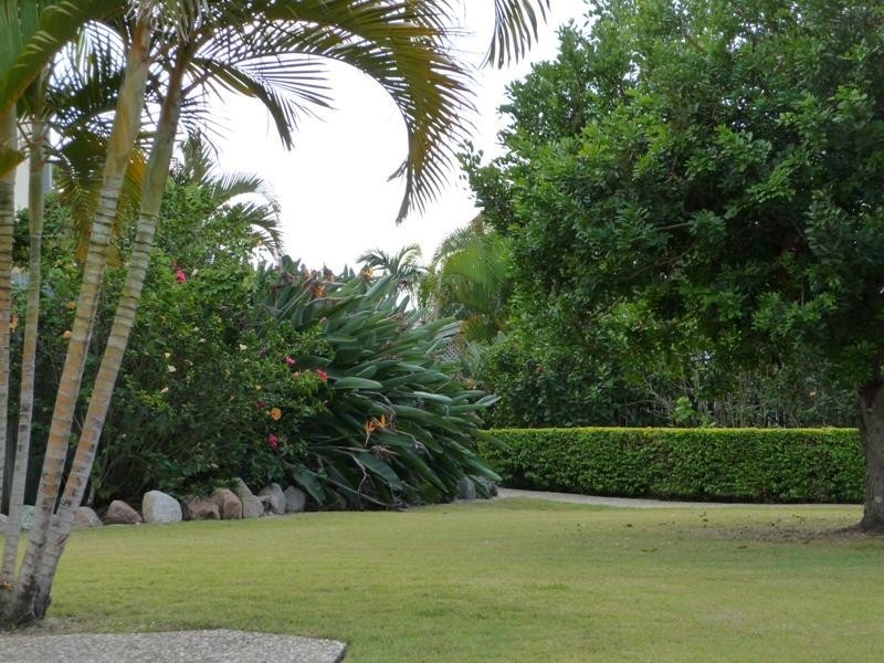77 Nursery Ave, Runcorn QLD 4113