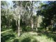 0 Peninsula Development Road, Mount Carbine QLD 4871