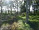 0 Peninsula Development Road, Mount Carbine QLD 4871
