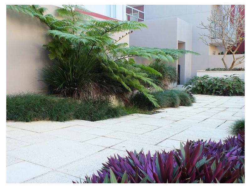 10/575 Gregory Tce, Fortitude Valley QLD 4006