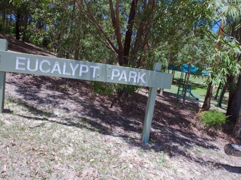 7 Watford Cres, Molendinar QLD 4214