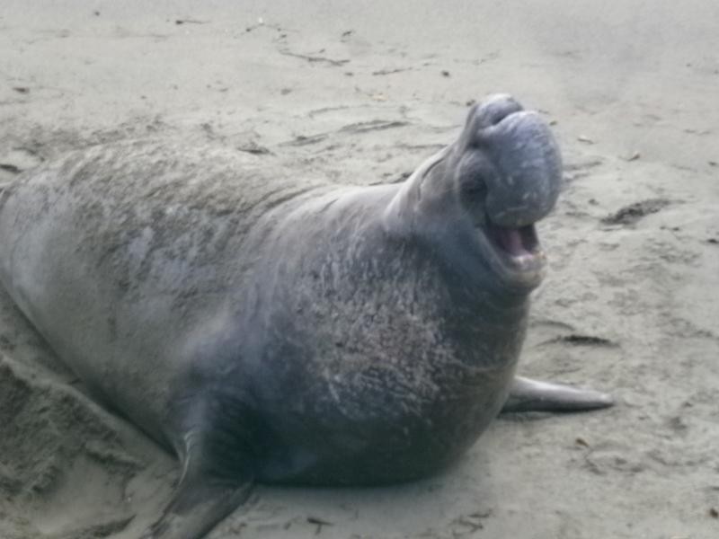 29 Frankston Street, Kewarra Beach QLD 4879