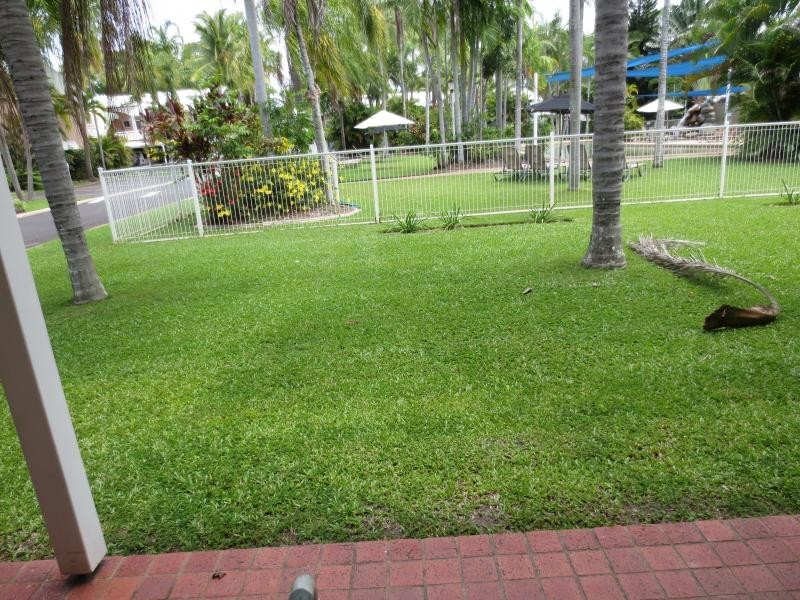 31 Nautilus Street, Port Douglas QLD 4877