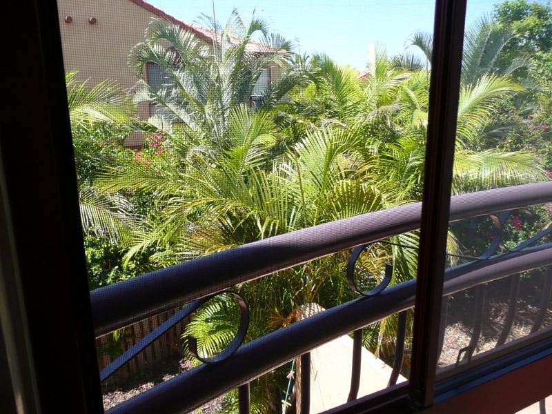 8 Woody Views Way, Robina QLD 4226