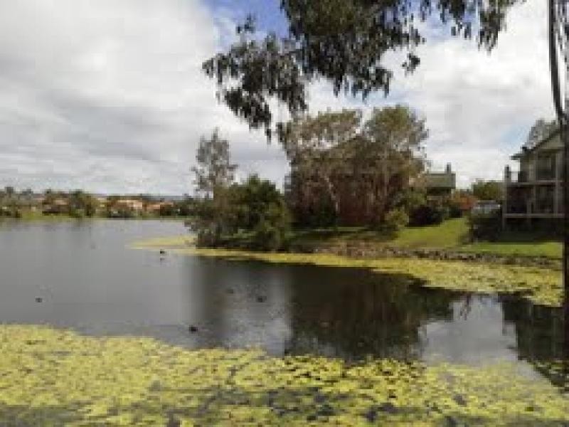 9 Santa Cruz Blvd, Clear Island Waters QLD 4226