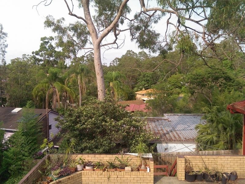 162 Jerrang Street, Chapel Hill QLD 4069