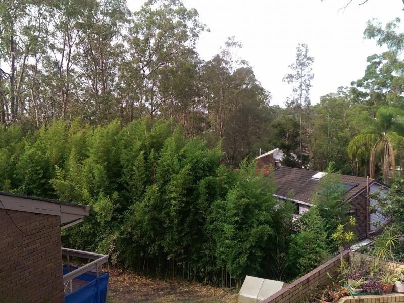 162 Jerrang Street, Chapel Hill QLD 4069