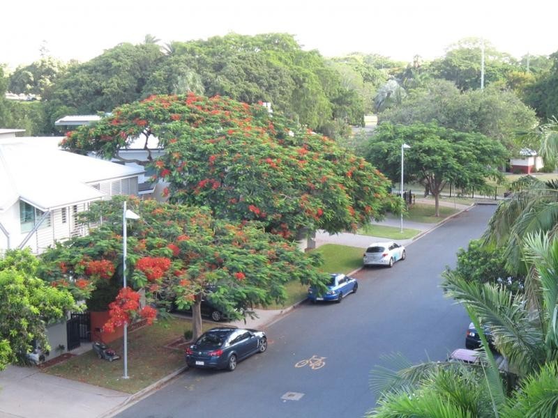 19 Dixon Street, New Farm QLD 4005