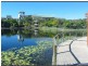 13 Arbour Avenue, Robina QLD 4226