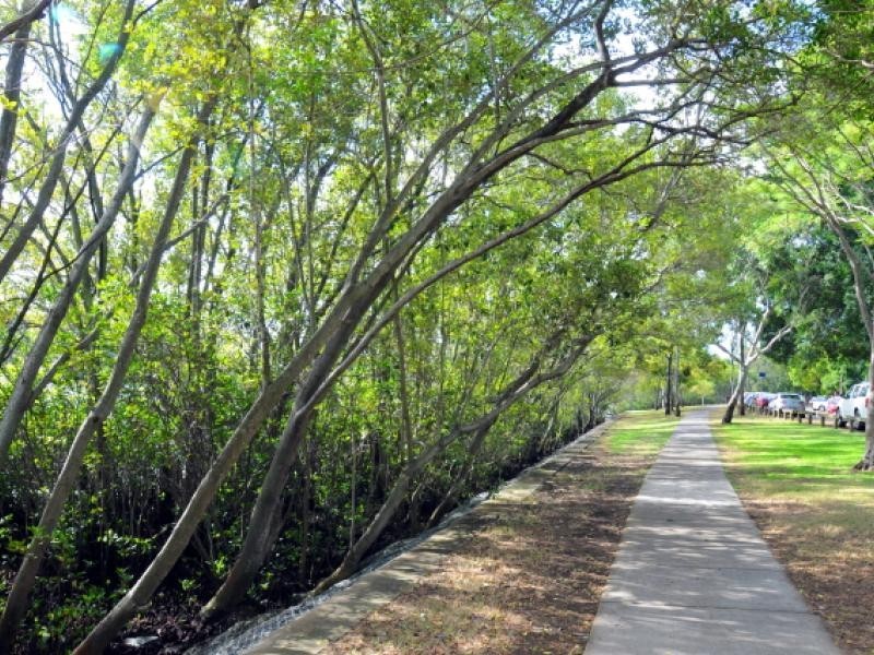 10 Pidgeon Close, West End QLD 4101