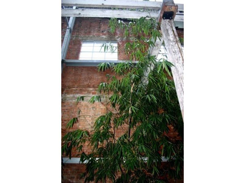 8 Skyring Terrace, Teneriffe QLD 4005