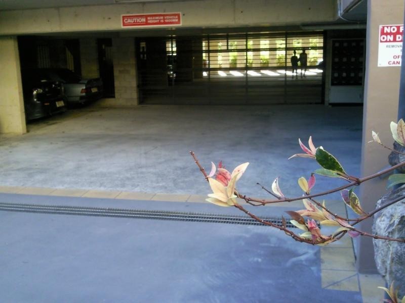 18 Mascar St, Upper Mount Gravatt QLD 4122