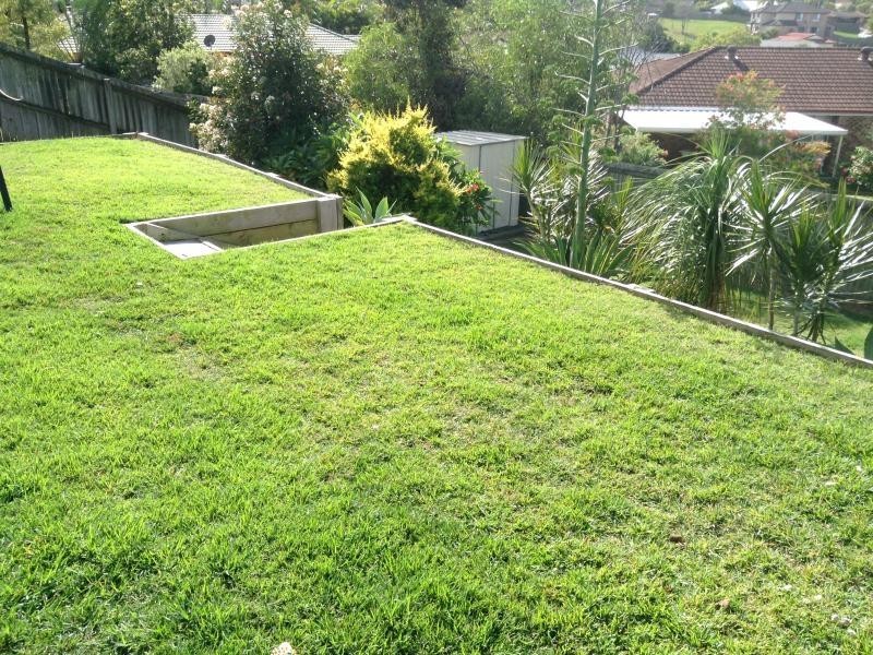 Springfield QLD 4300