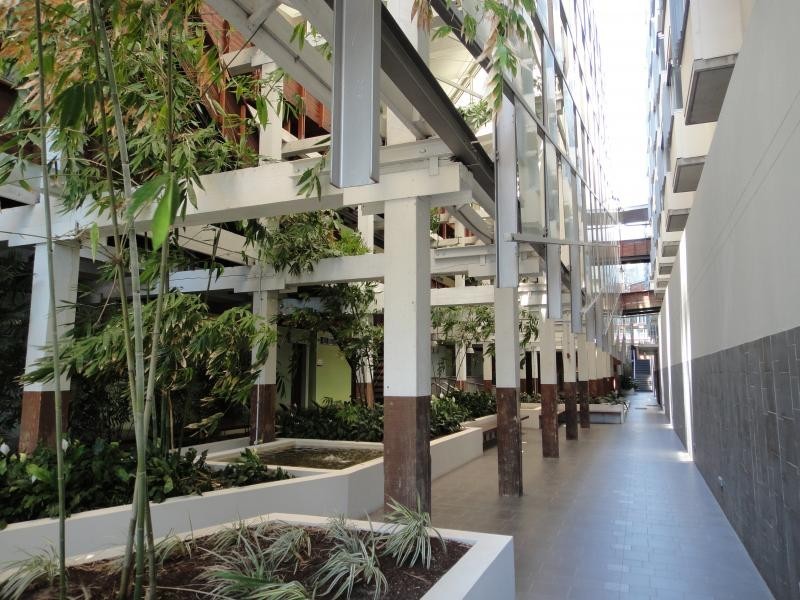 8 Skyring Terrace, Teneriffe QLD 4005