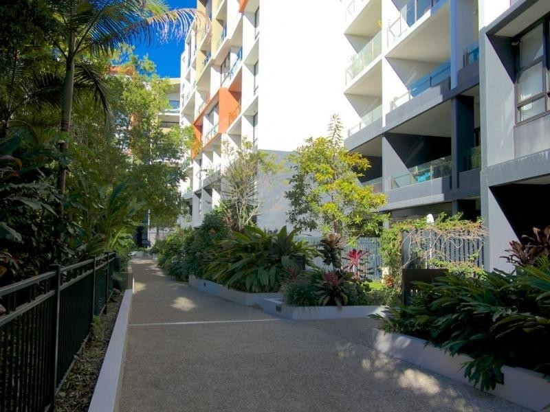 10 Pidgeon Cl., West End QLD 4101