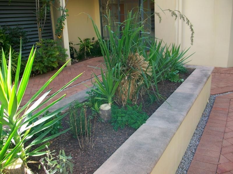 75 Welsby, New Farm QLD 4005