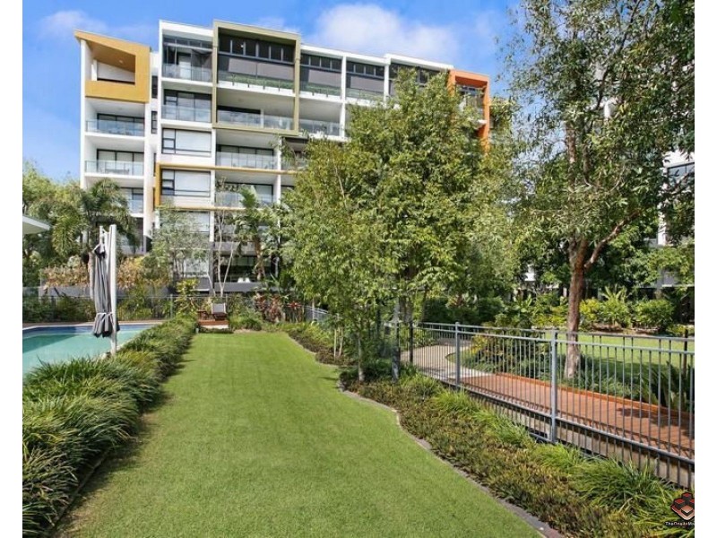 ID:3772453/10 Pidgeon Close, West End QLD 4101