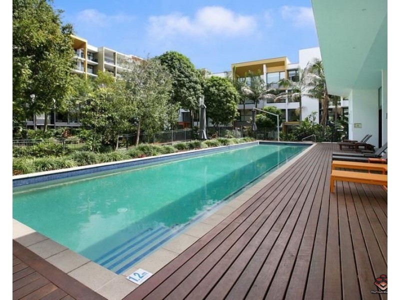 ID:3772453/10 Pidgeon Close, West End QLD 4101