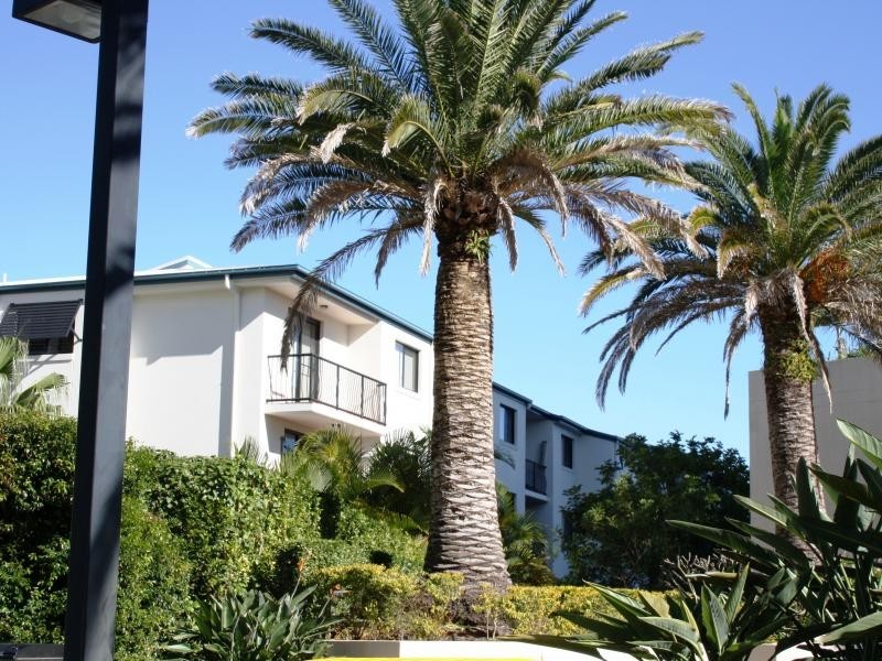 38 Labrador Street, Labrador QLD 4215