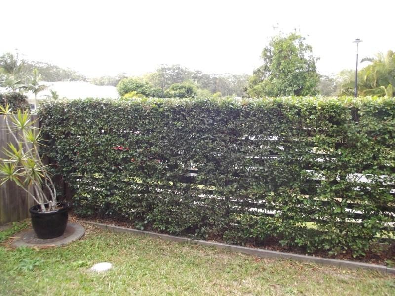 7 FIGBIRD CRES, Buderim QLD 4556