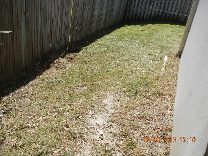 58 Ancona St, Carrara QLD 4211