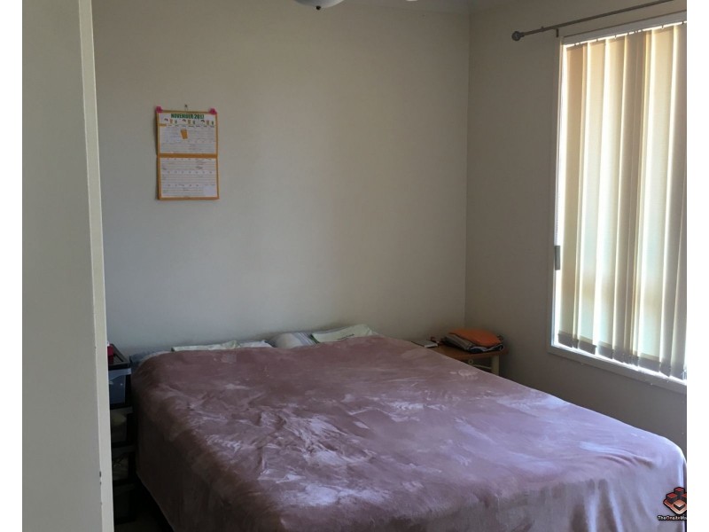 3-5 BARRANBALI STREET, Chevron Island QLD 4217