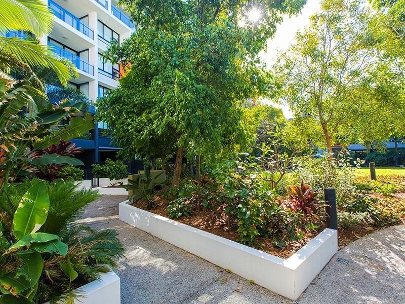 10 Pidgeon Cl., West End QLD 4101