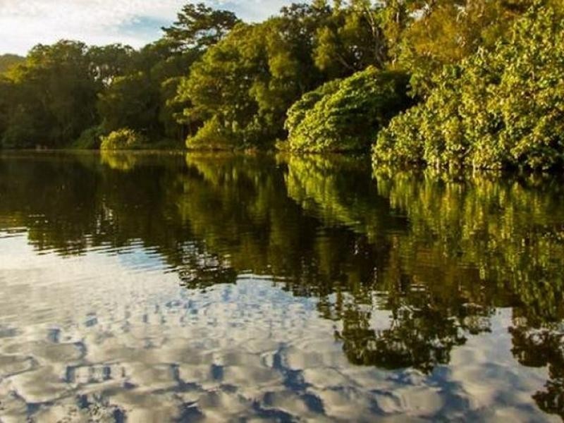 543 Gold Coast Highway, Tugun QLD 4224