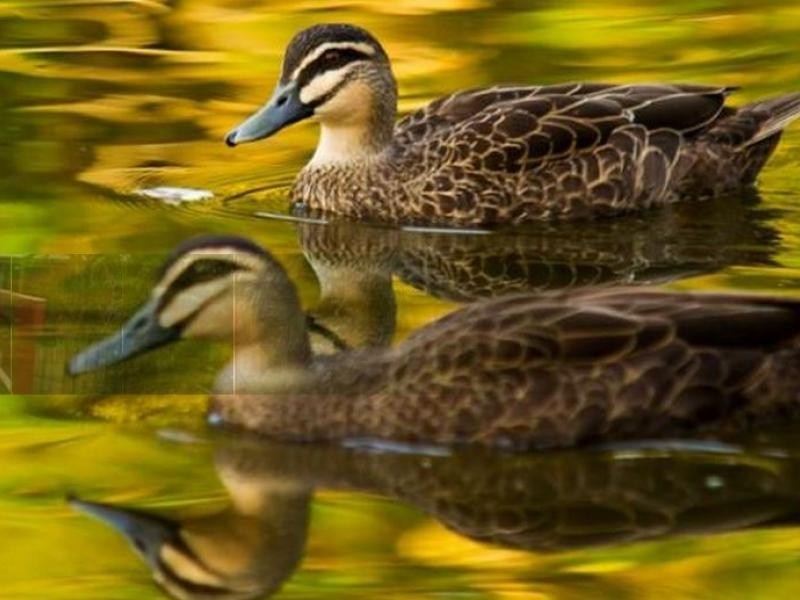 543 Gold Coast Highway, Tugun QLD 4224