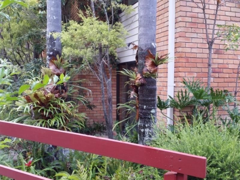 543 Gold Coast Highway, Tugun QLD 4224