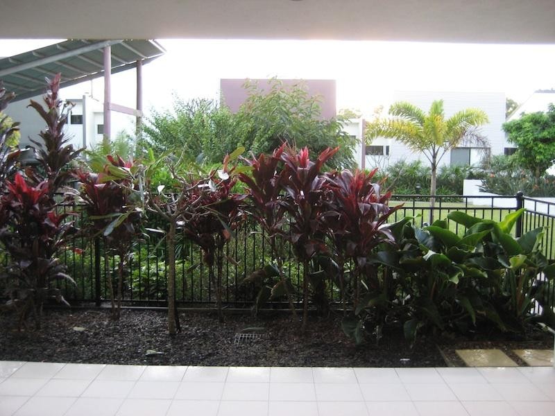 35 Hamilton Road, Moorooka QLD 4105