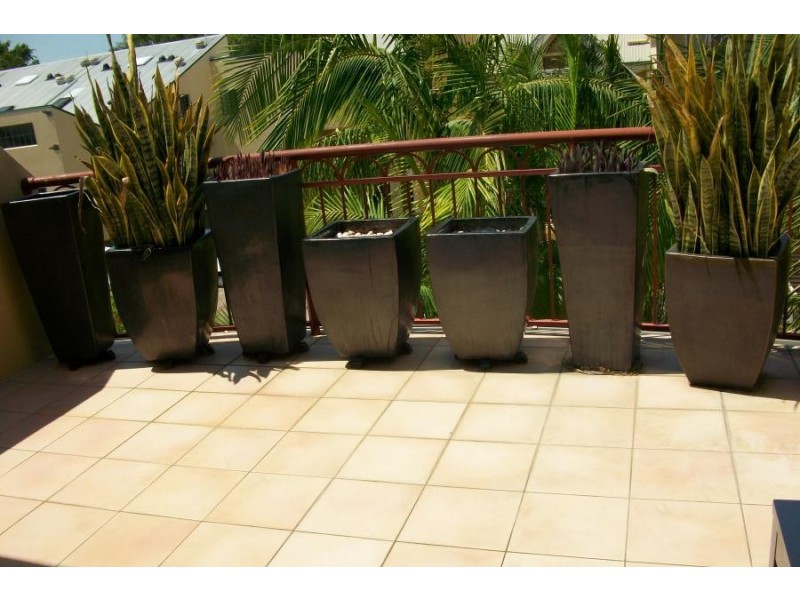 242/176 Sydney Street, New Farm QLD 4005