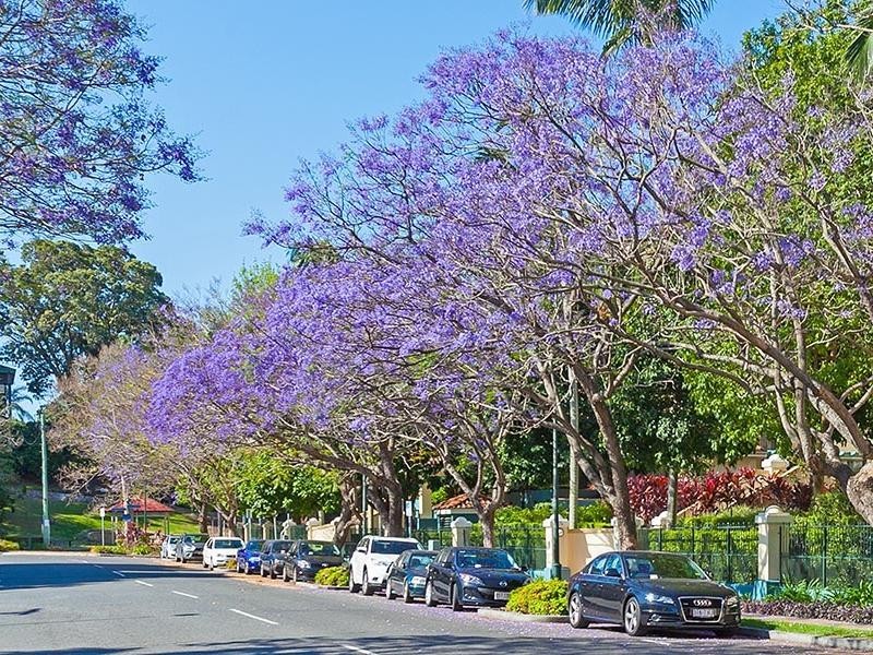 52-62 NEWSTEAD TERRACE, Newstead QLD 4006