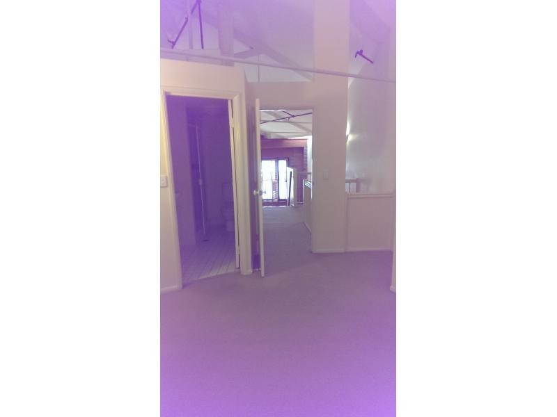 241 Arthur Street, Teneriffe QLD 4005