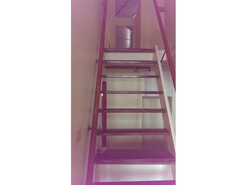 241 Arthur Street, Teneriffe QLD 4005