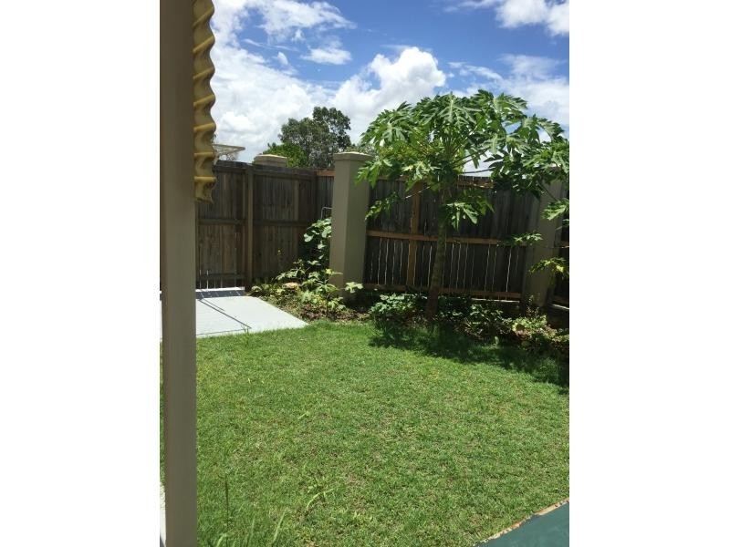 115 Gumtree Street, Runcorn QLD 4113