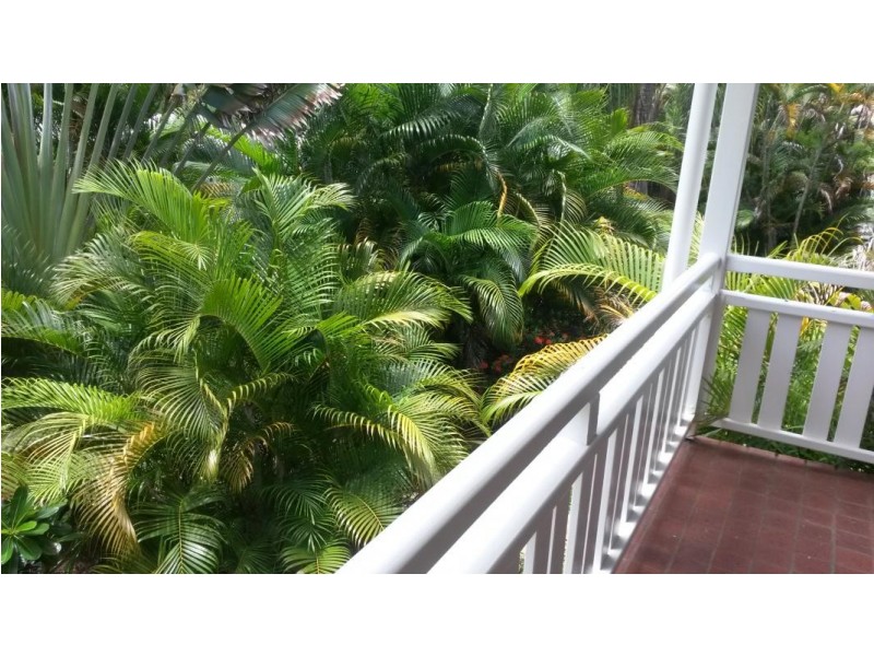 31 Nautilus Street, Port Douglas QLD 4877
